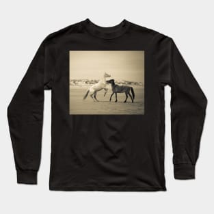 Wild Horses of Cumberland Island 2 Long Sleeve T-Shirt